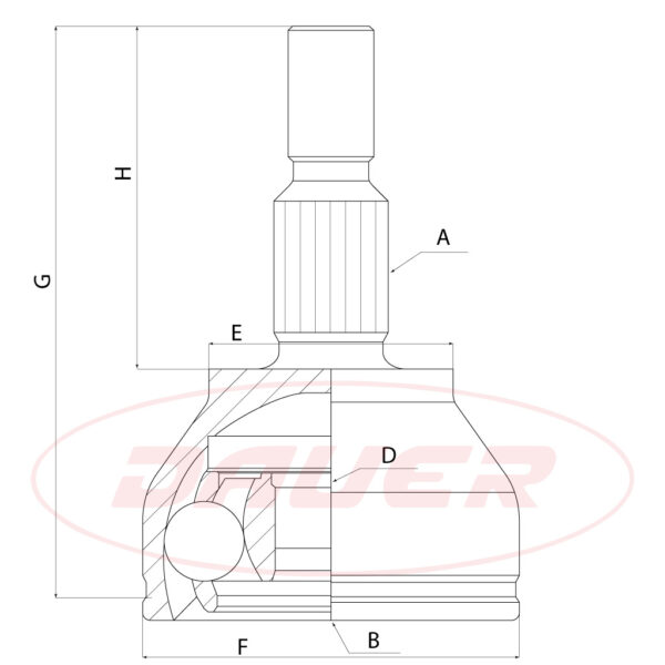 JHR-0254-Ford Kuga - Image 4